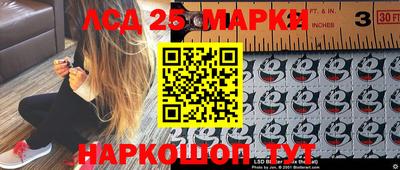 spice Сланцы