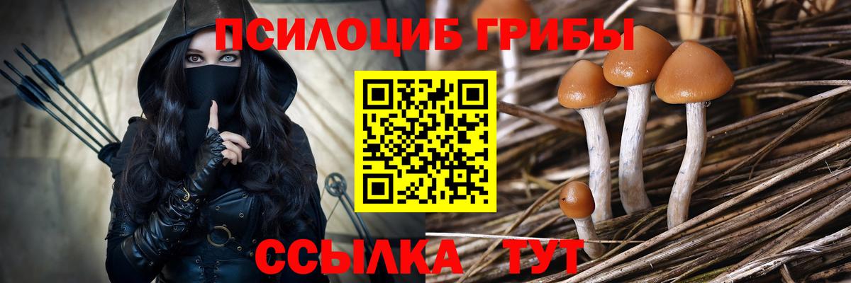 Павлово  Псилоцибиновые грибы GOLDEN TEACHER  Вход с VPN 