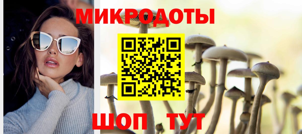 Псилоцибиновые грибы GOLDEN TEACHER Павлово